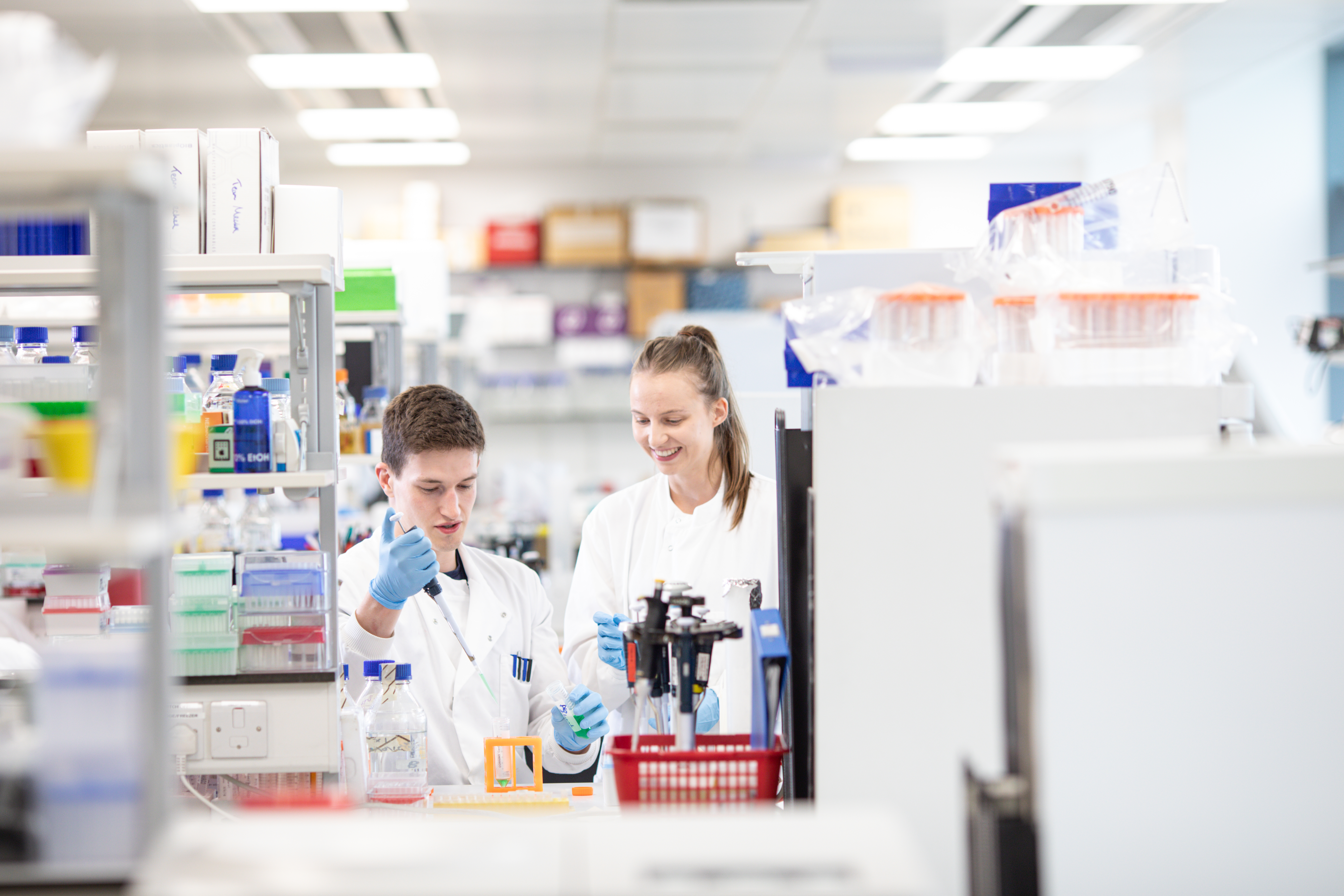 Postgraduate students undertaking cancer research on our cancer biology and therapy course