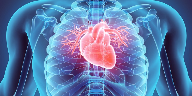 heart