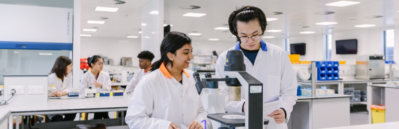 Students working in the lab with samples and microscope