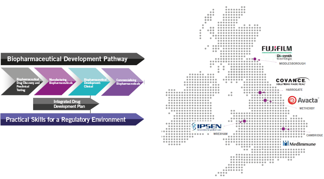 Biopharmaceutical Modules and Placement Opportunity