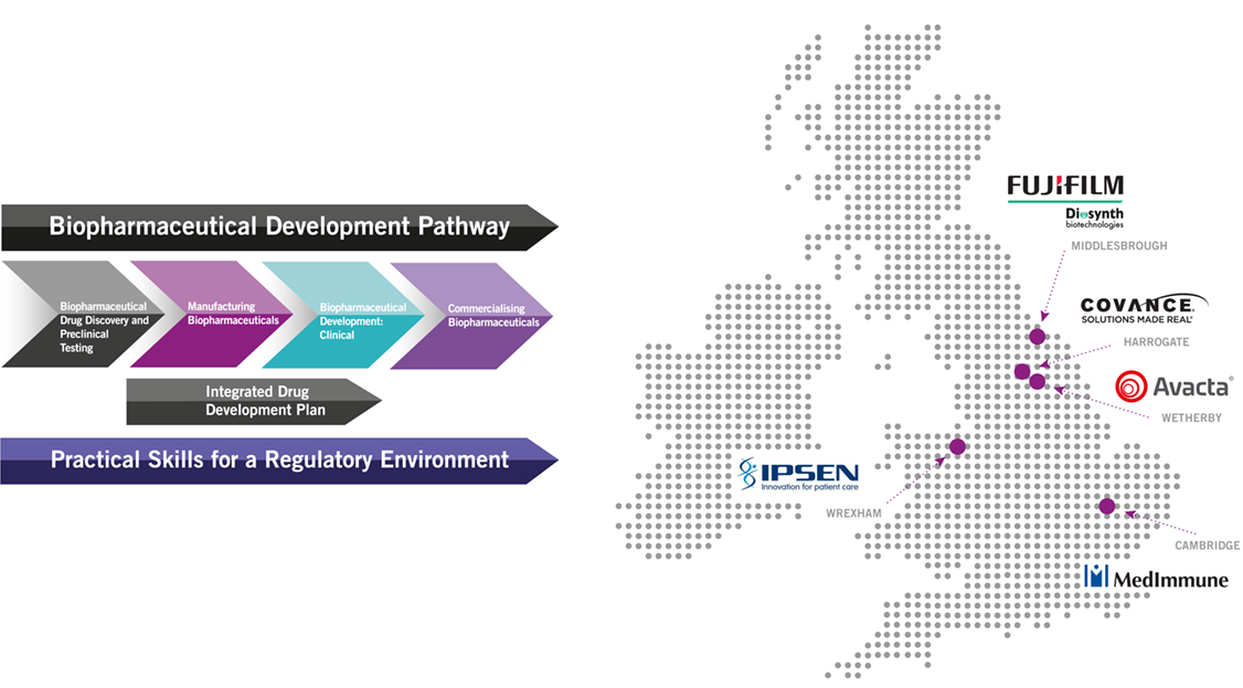 This infographic shows the various locations of our placement opportunities.