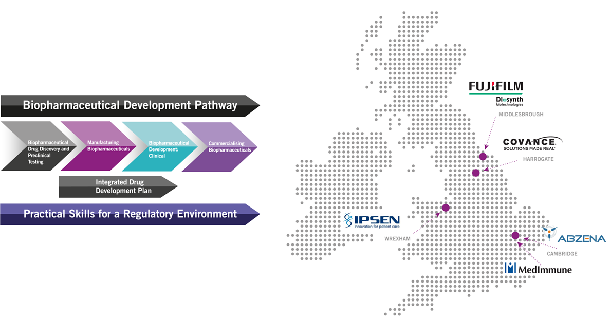 This infographic shows the various locations of our placement opportunities