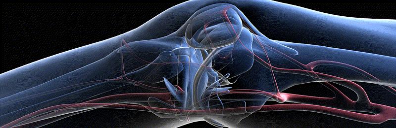 medical imaging