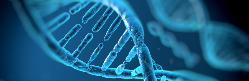 DNA molecules