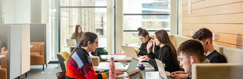 Social sciences students work at laptops in a study area