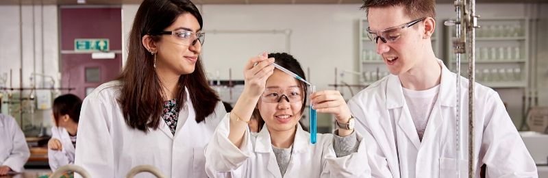 Nutrition (Industrial) MSci, Bsc