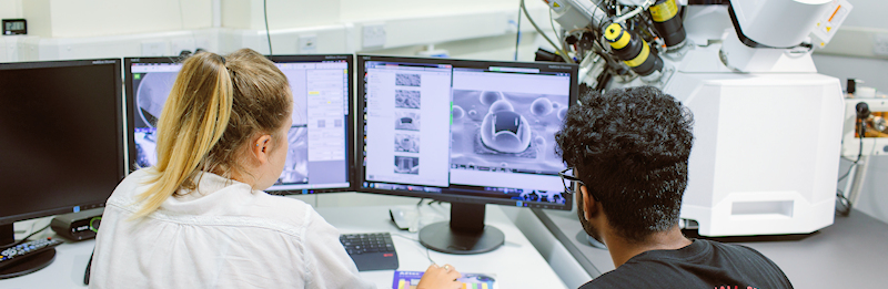 A man and a woman examine electron microscope images on a computer