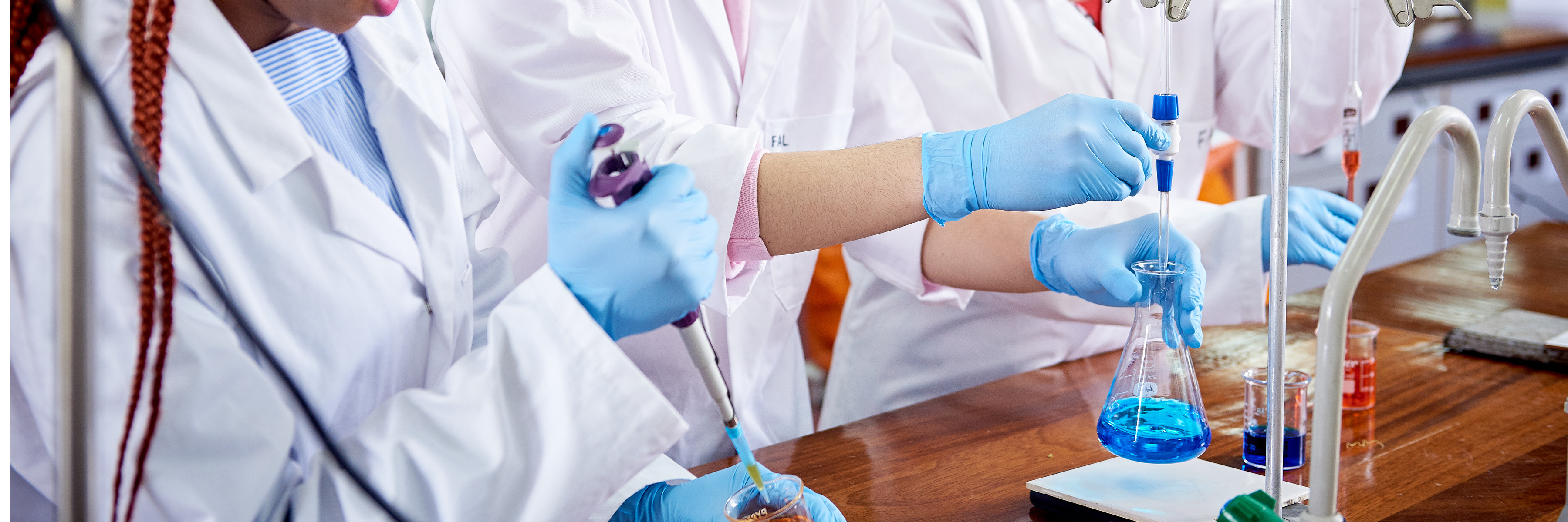Food Science (Food Biotechnology) MSc