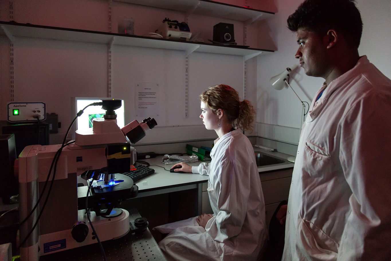 Students in a laboratory undertaking cancer biology research