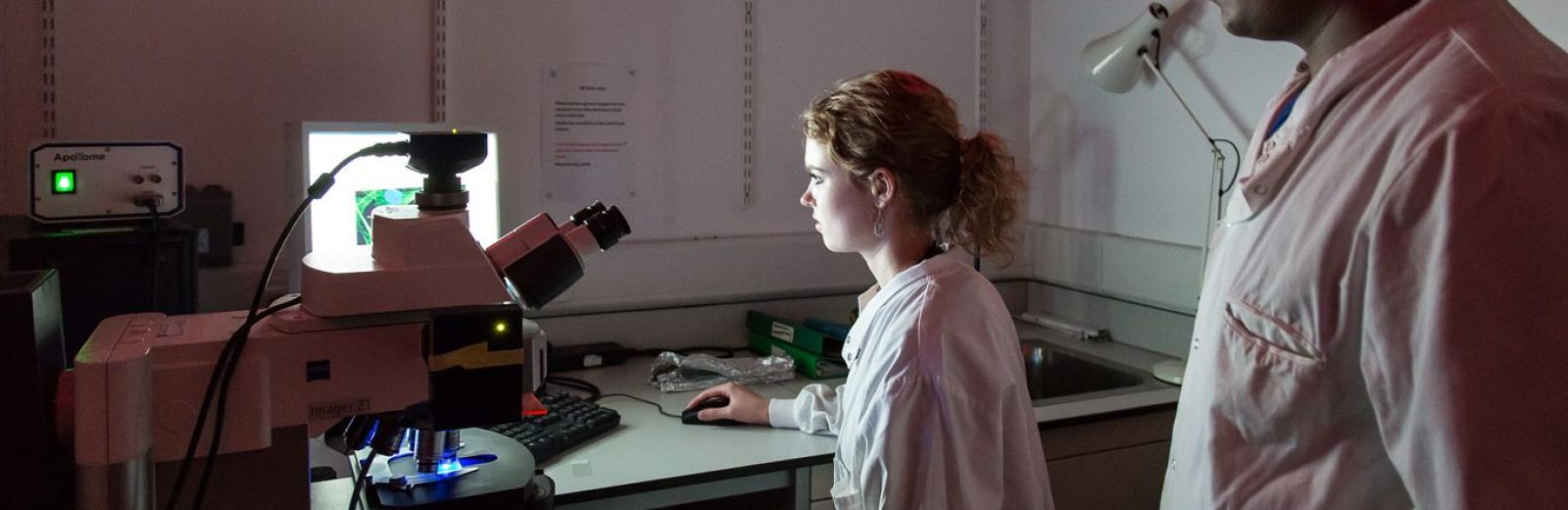 Students in a laboratory undertaking cancer biology research